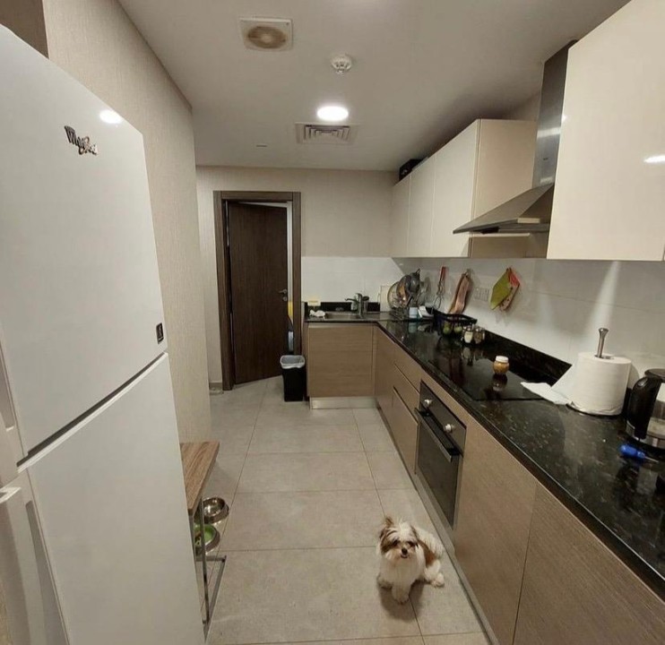 property 4204 image 4