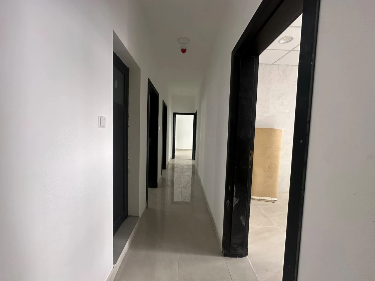 property 8337 image 6